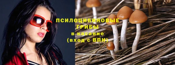 прущие крисы Медногорск