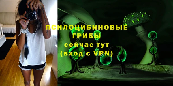герыч Мегион